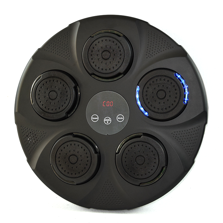 Home Interactive Music Boxing Target – LED Punching Trainer