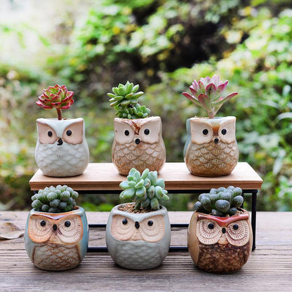 6-Piece Small Owl Ceramic Succulent Planter Pots