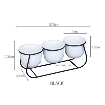 Metal Sleigh Succulent Trio