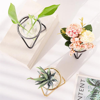 Modern Glass Plant Vase