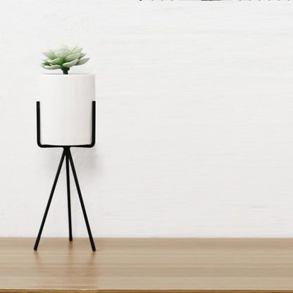 Oasis Ceramic Planter with Geometric Metal Stand