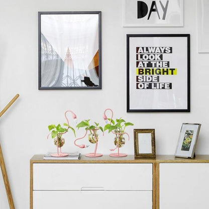 Tropical Flamingo Growth Vessel