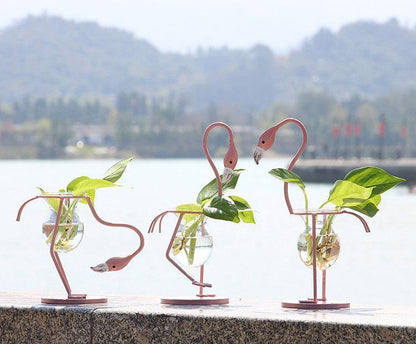 Tropical Flamingo Growth Vessel