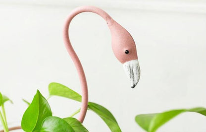 Tropical Flamingo Growth Vessel